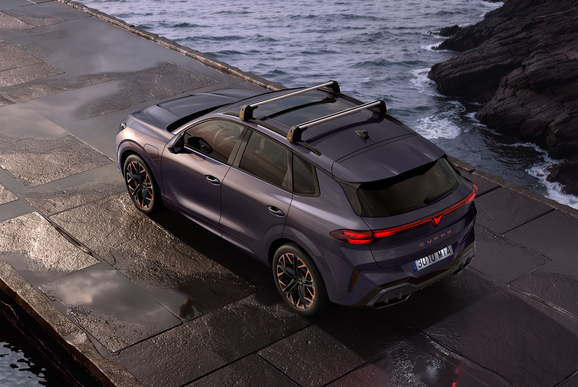 CUPRA with Terramar roof bars attached, parked by the coast. The roof bars provide a robust solution for transporting large items, such as bikes and skis.